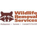 wildliferemovalservicesofflorida.com