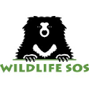 wildlifesos.org