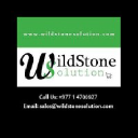 wildstonesolution.com