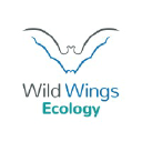 wildwingsecology.co.uk