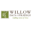 willowdatastrategy.com