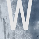 wilowe management consulting