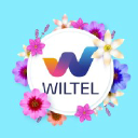 wiltel.com.ar