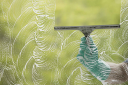 A New Outlook Window Washing Service