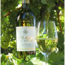 Winegardeninn