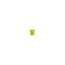 wisch-star.de Logo