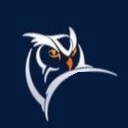 Wise Security Systems