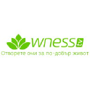 wnesstv.com