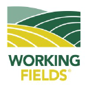 workingfields.com