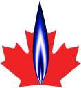 World of Comfort Ltd. logo