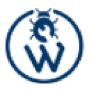 wpdesignfix