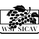 wsfsicav.com