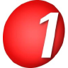 1 Point Networks logo