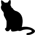 Cat Care and Adoption Event Volunteer Opportunity Image
