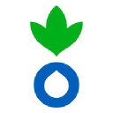 Logo of ACF