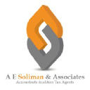 A E Soliman & Associates logo
