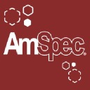 Aviation job opportunities with Am Spec Services