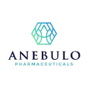 Anebulo Pharmaceuticals Inc Logo
