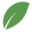 Aromas & Flavors International