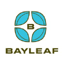 Bayleaf Software, Inc. logo