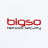 BiGso logo