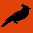 Black Jays investor & venture capital firm logo