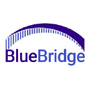 BlueBridge Networks logo