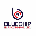 Bluechip Infocorp logo