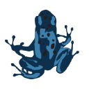 Blue Frog logo
