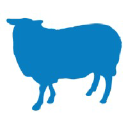 Blue Sheep logo