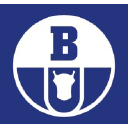 Boryszew Logo