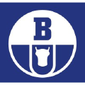 Boryszew Logo