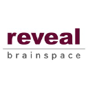 Brainspace logo