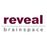 Brainspace logo