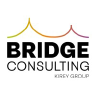 Bridge Consulting S.r.l. logo