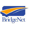 BridgeNet Technology Consultants logo