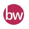 Businesswise Solutions logo