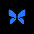 Butterfly Network Logo