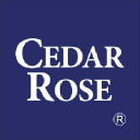 Cedar Rose