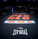 CES MMA logo