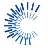 CFO Solutions logo