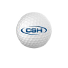 Chisum Sports logo