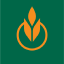 Job