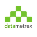 Datametrex AI Logo