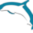 Dolphin Media & Design logo