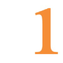 Domain Systems logo