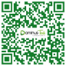 Dominus Tech logo