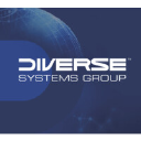 Diverse Systems Group, LLC logo