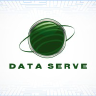 Data Serve logo