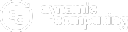 Dynamic Computing logo